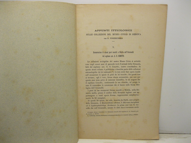 Appunti ittiologici sulle collezioni del Museo Civico di Genova. V. Enumerazione di alcuni pesci raccolti a Minhla sull'Irrawaddi dal capitano cav. G. B. Comotto